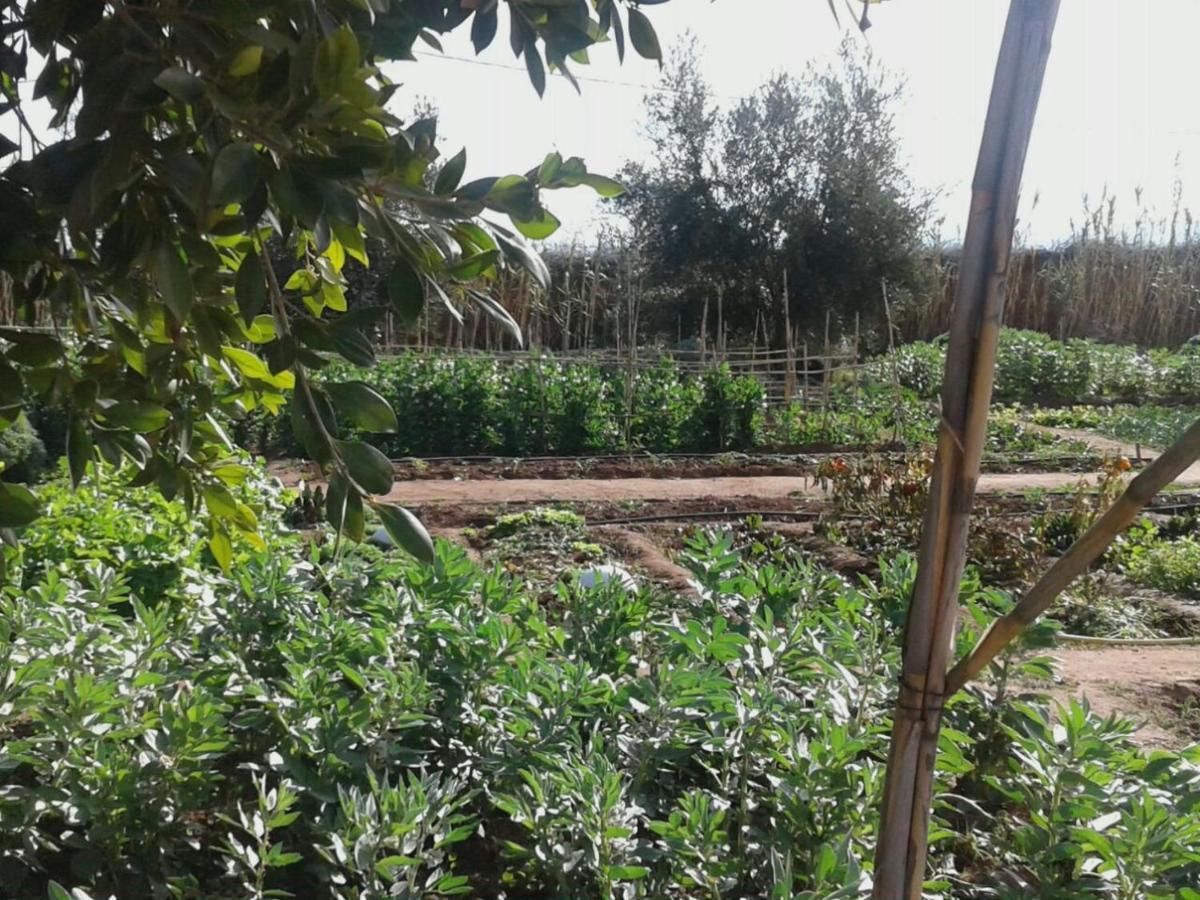 Dar Tasmayoun Aït Ourir Exterior foto